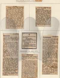 media/Frederikke P Frehr 1409 1875 avis.jpg